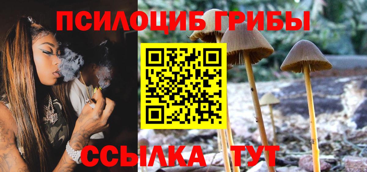 что такое   Псилоцибиновые грибы прущие грибы  Вход с VPN  Новочеркасск  Галлюциногенные грибы MAGIC MUSHROOMS 